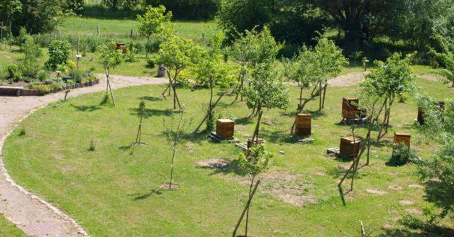 Landhotel Zum Honigdieb Ribnitz-Damgarten Luaran gambar