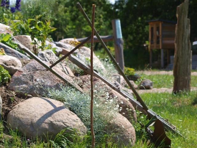 Landhotel Zum Honigdieb Ribnitz-Damgarten Luaran gambar